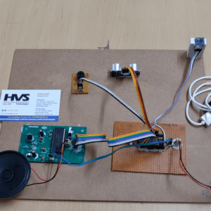 HVS-1708. Development of voice based Digital compass for blind people.
