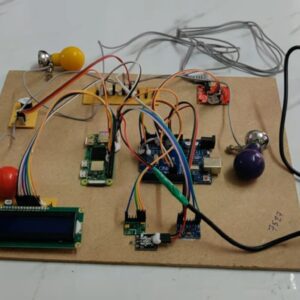 HVS-4712. Design and Implementation of an ARM-Based AI Module for Ectopic Beat Classification using Custom and Structural Pruned Lightweight CNN